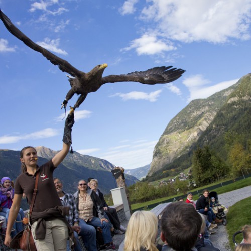 Roofvogelpark umhausen